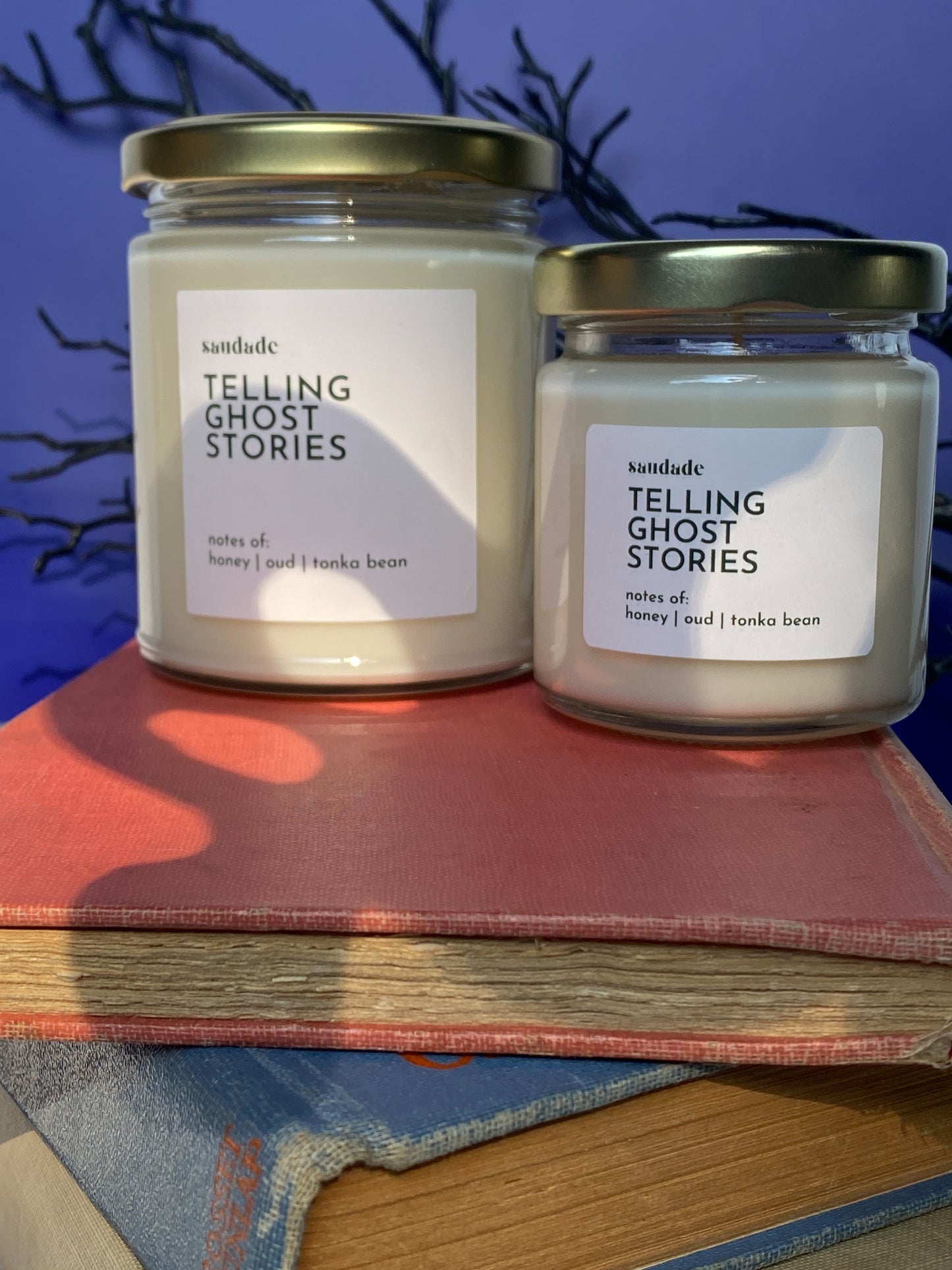 Telling Ghost Stories - 4oz