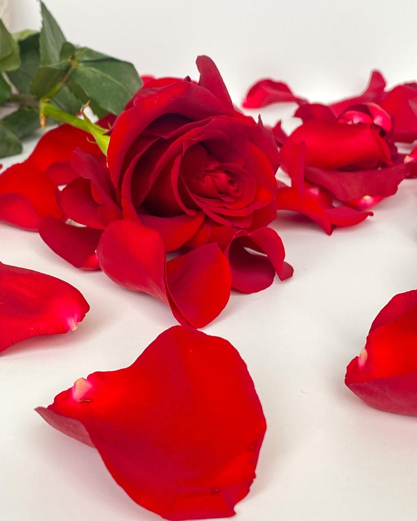 Rose Petals and Silk Sheets - 7.5 oz
